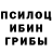 Галлюциногенные грибы Psilocybe Taylor Firth