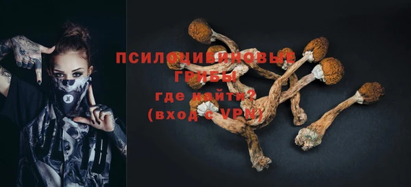 мдпв Верхний Тагил