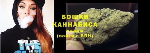 мдпв Верхний Тагил