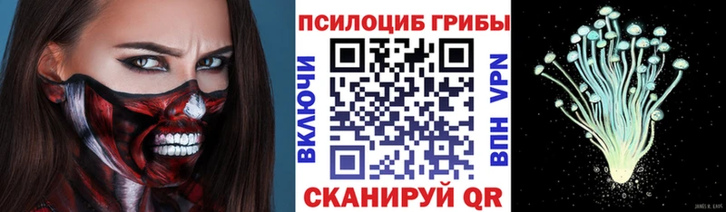 Галлюциногенные грибы Psilocybine cubensis  хочу наркоту  Верхняя Тура 